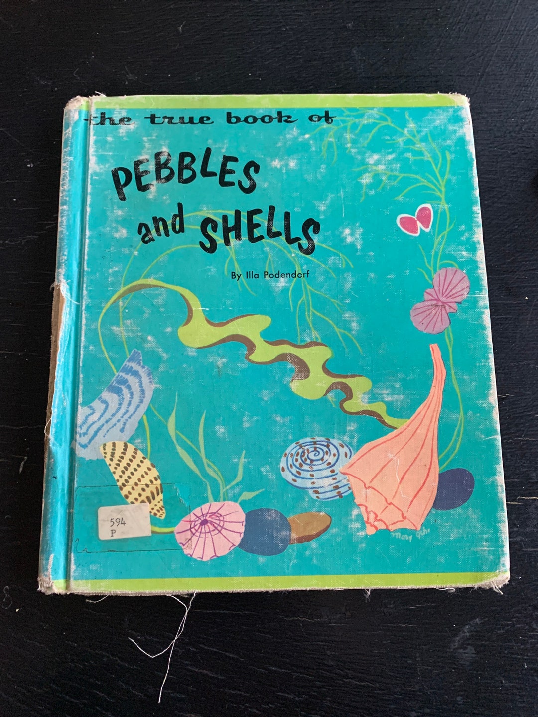The True Book of Pebbles and Shells by Illa Podendorf/ Children’s Press ...
