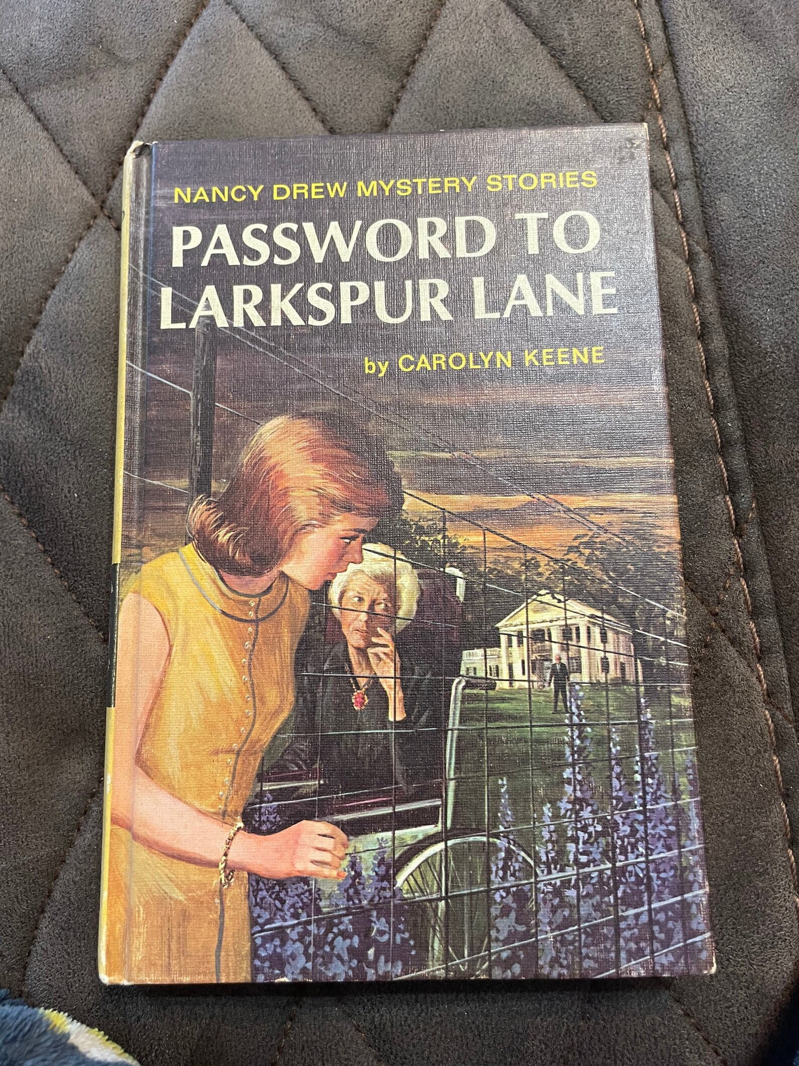 Password to Larkspur Lane Nancy Drew Mystery Book 10/ Children’s
