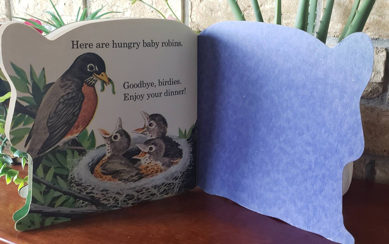 The Baby Animal Book/Vintage 1977 Golden Shape Book/Woodland Etsy