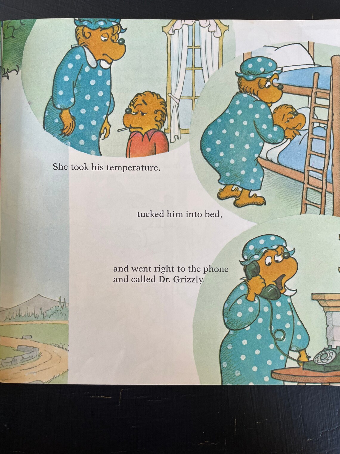 The Berenstain Bears Trouble at School First Time Paperback / Vintage ...