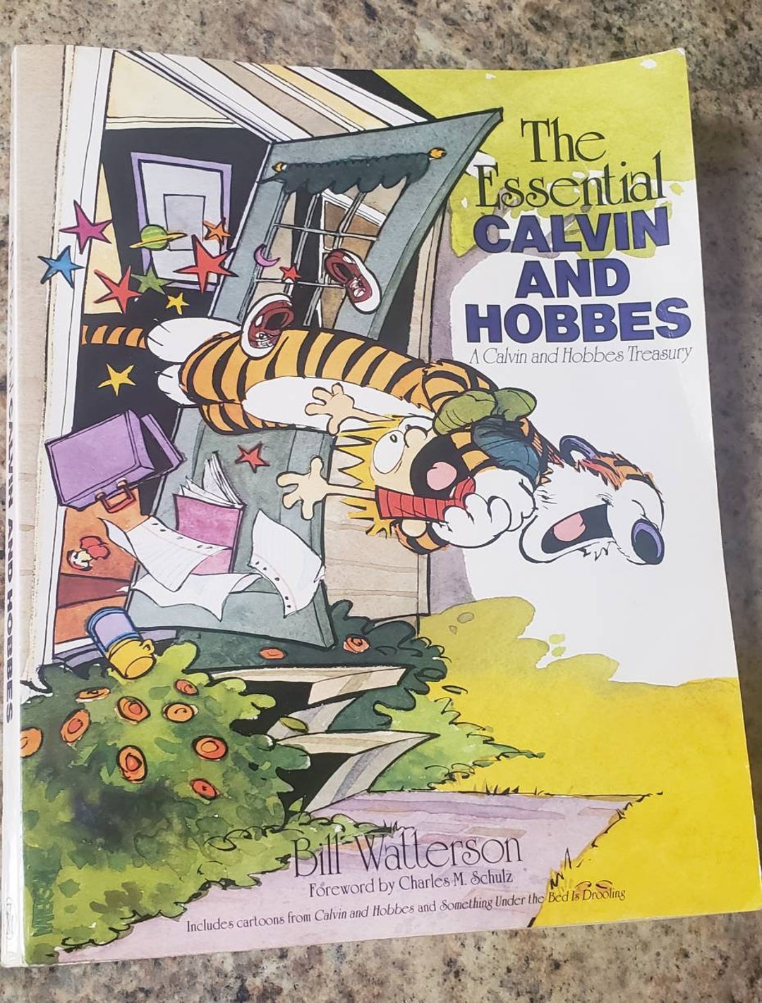 The Essential Calvin and Hobbes:a Calvin and Hobbes Treasury by