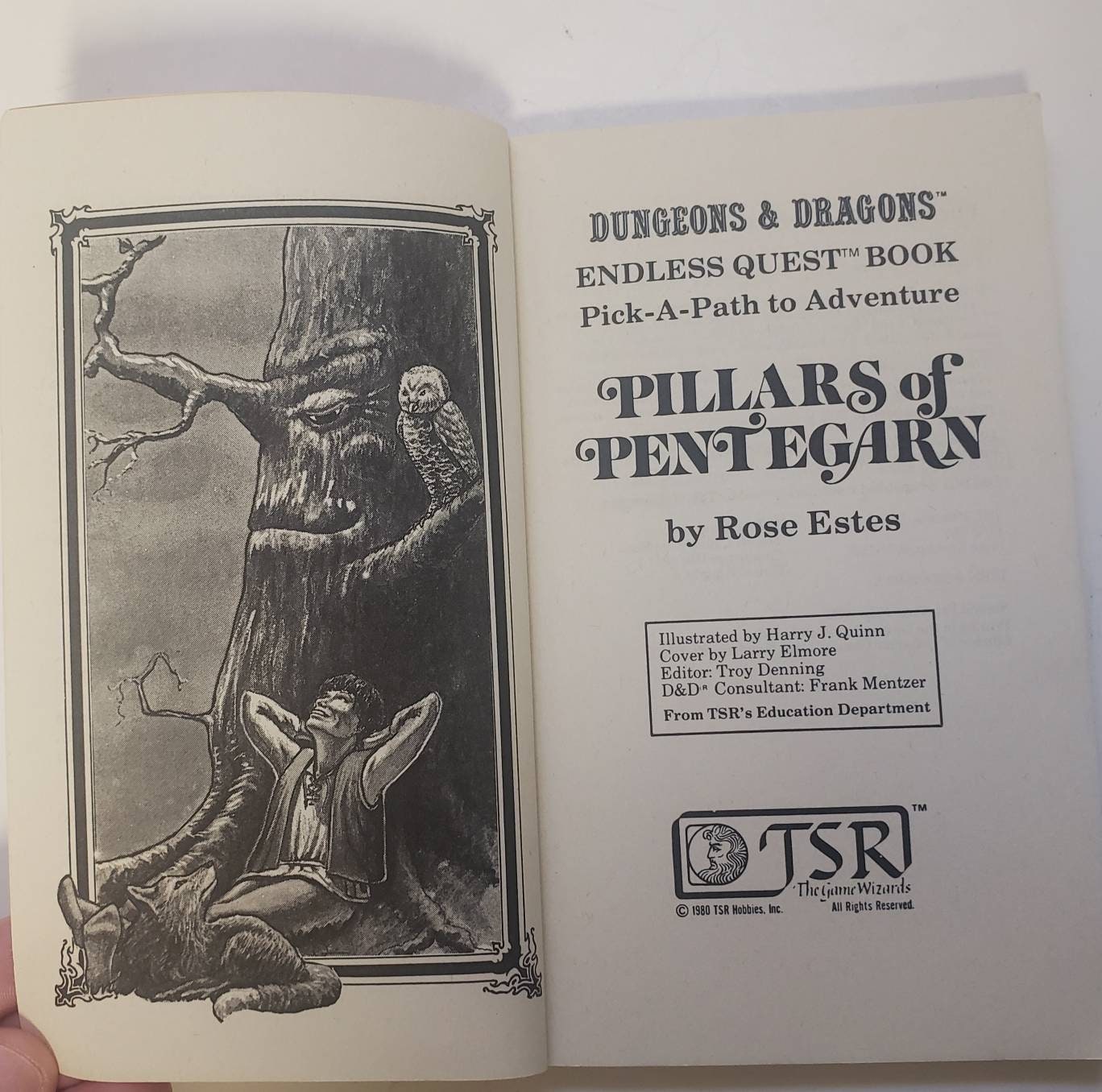 Dungeons & Dragons Pillars of Pentegarn Endless Quest Book - Etsy