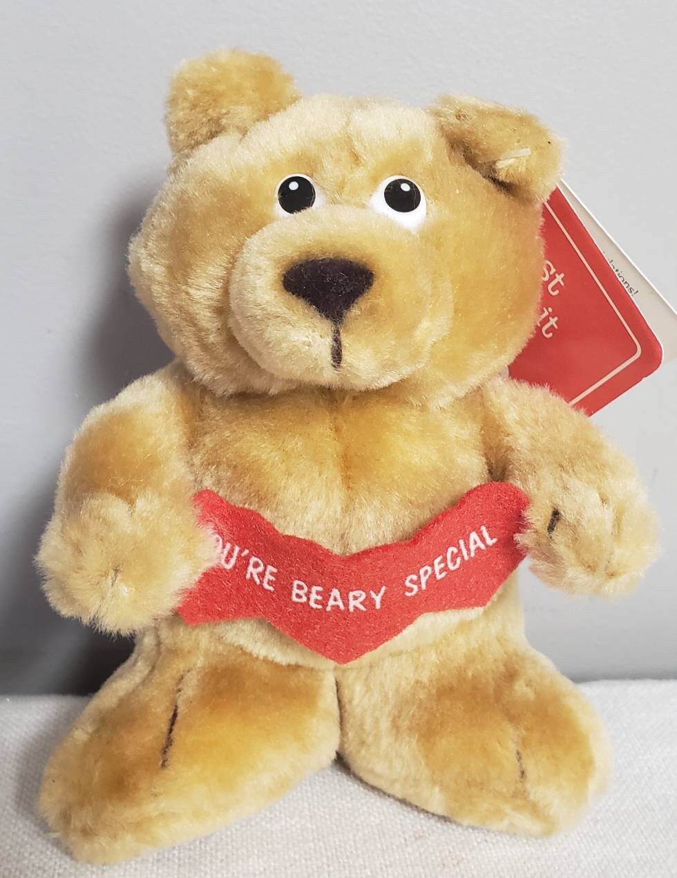 Luv Pets Bear you're Beary Special Etsy