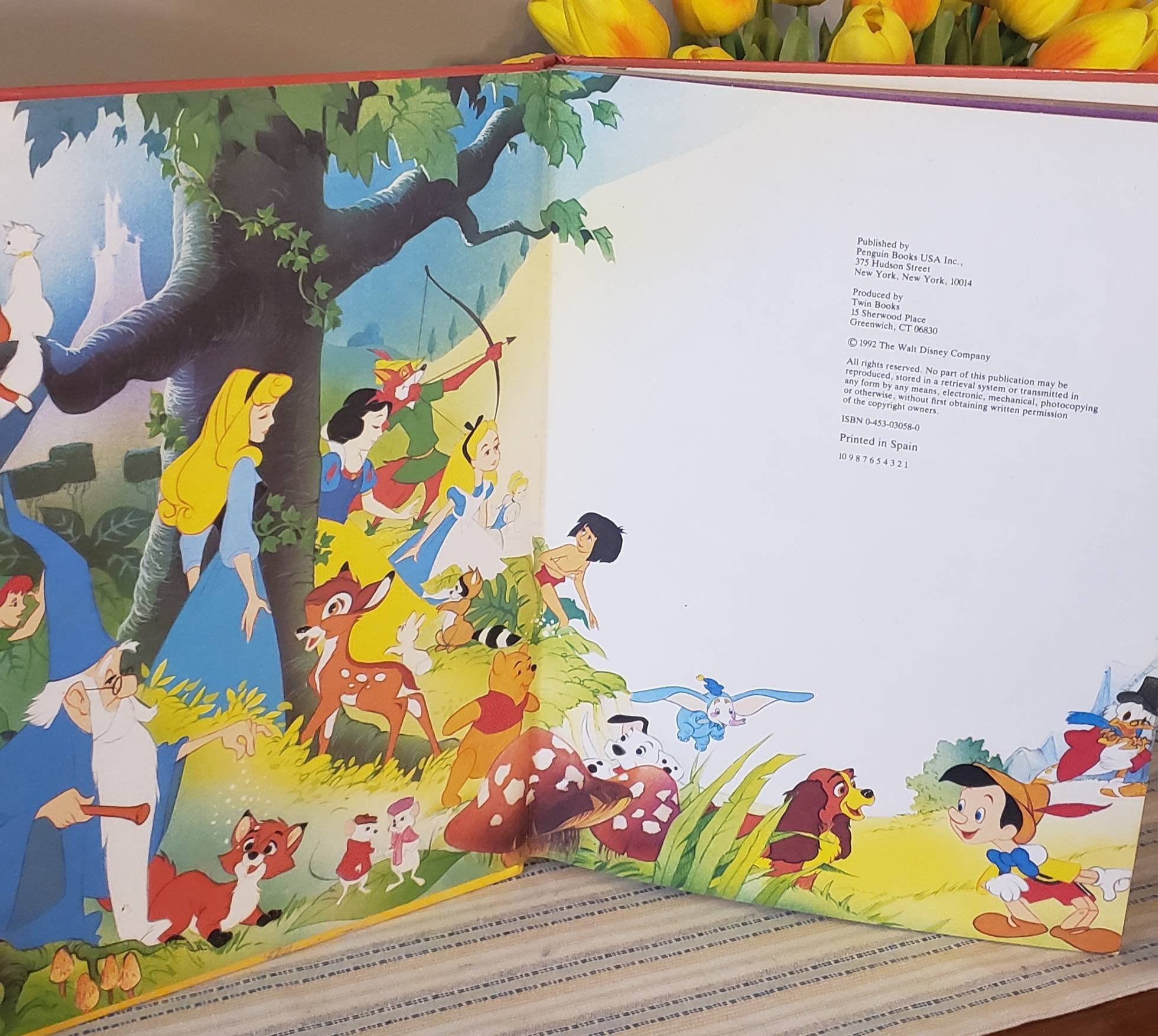 Aladdin 1992 Walt Disney Large Classic Storybook Series