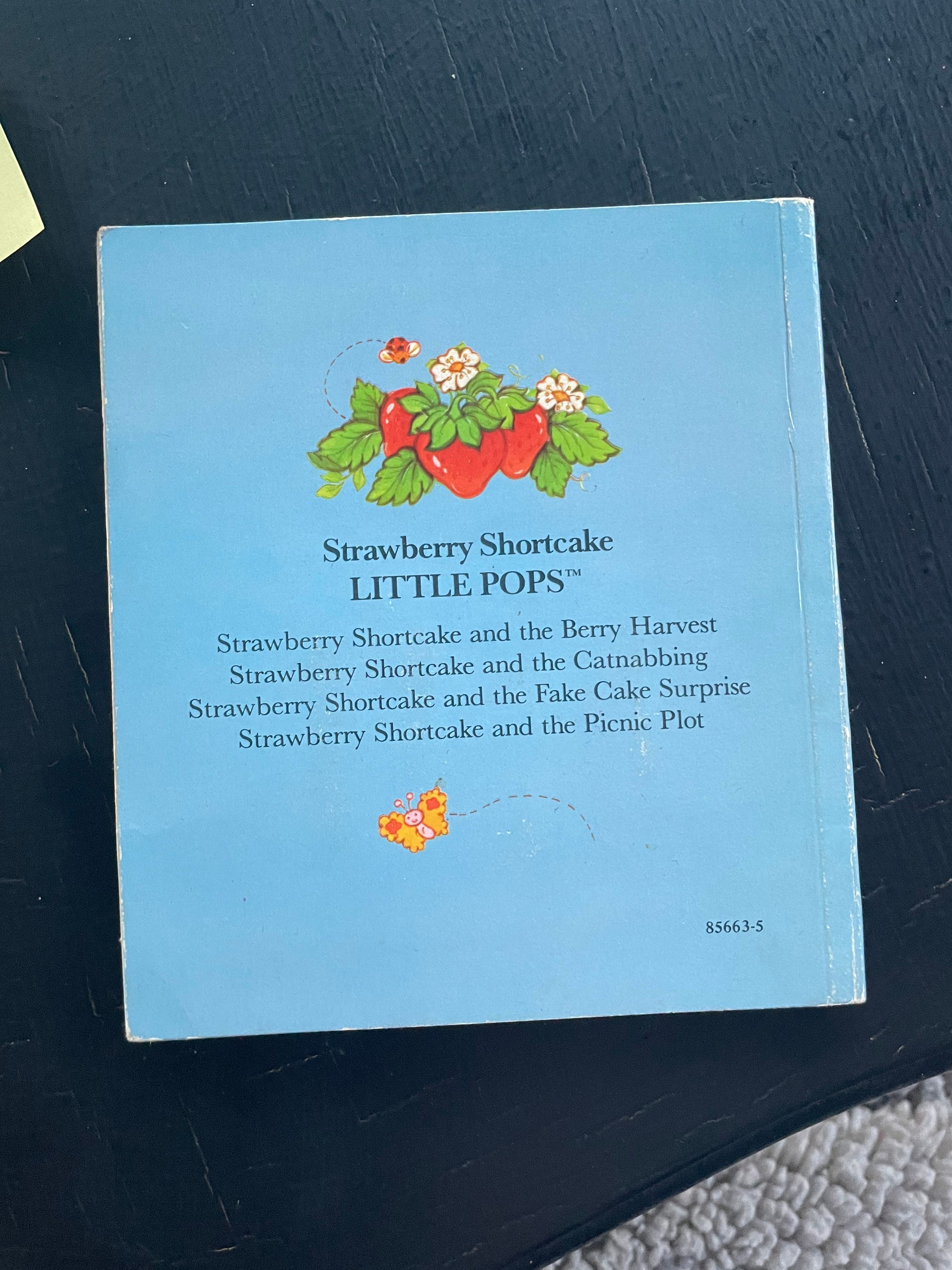 Strawberry Shortcake and the Picnic Plot Little Pops Popup Etsy