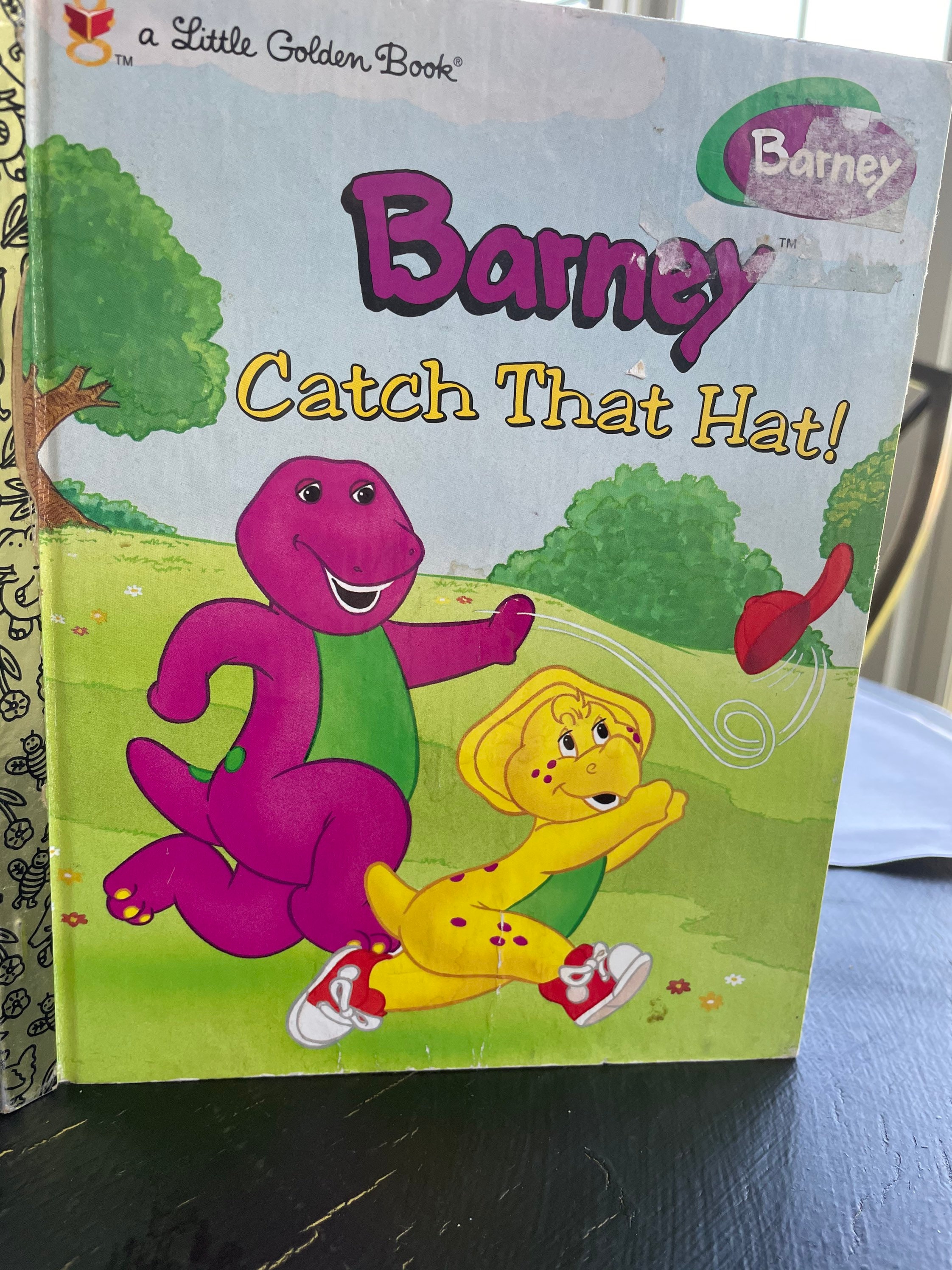 Barney Catch That Hat A Little Golden Book Vintage 1997 Etsy