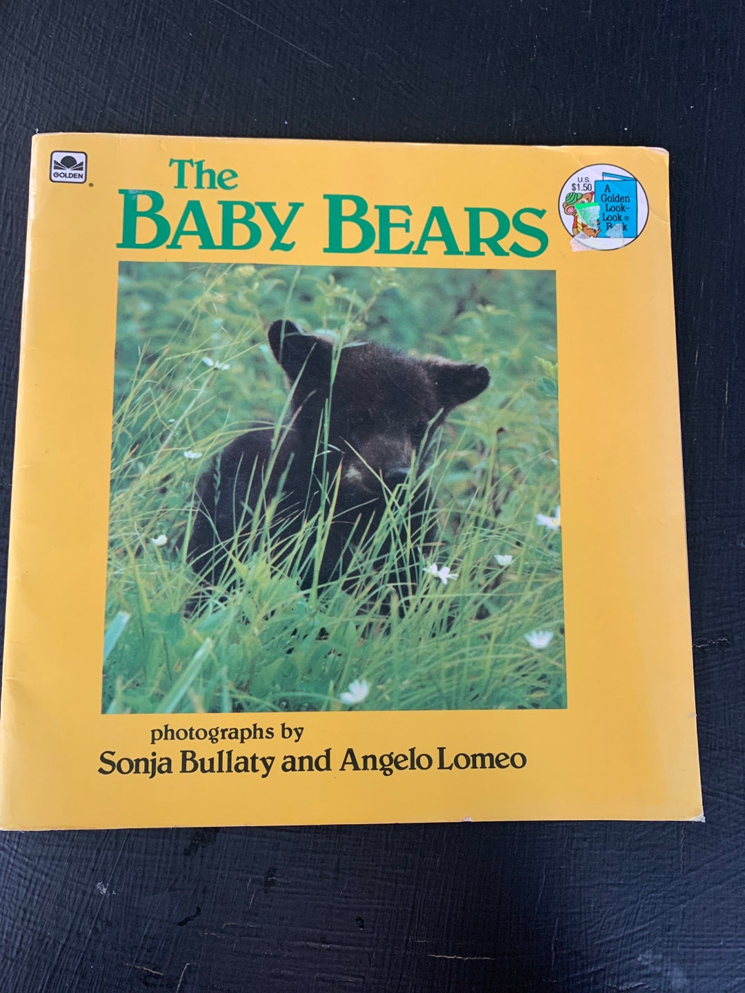 The Baby Bears by Sonja Bullaty & Angelo Lomeo/ Golden Etsy