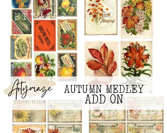 AUTUMN MEDLEY Add on Journal kit