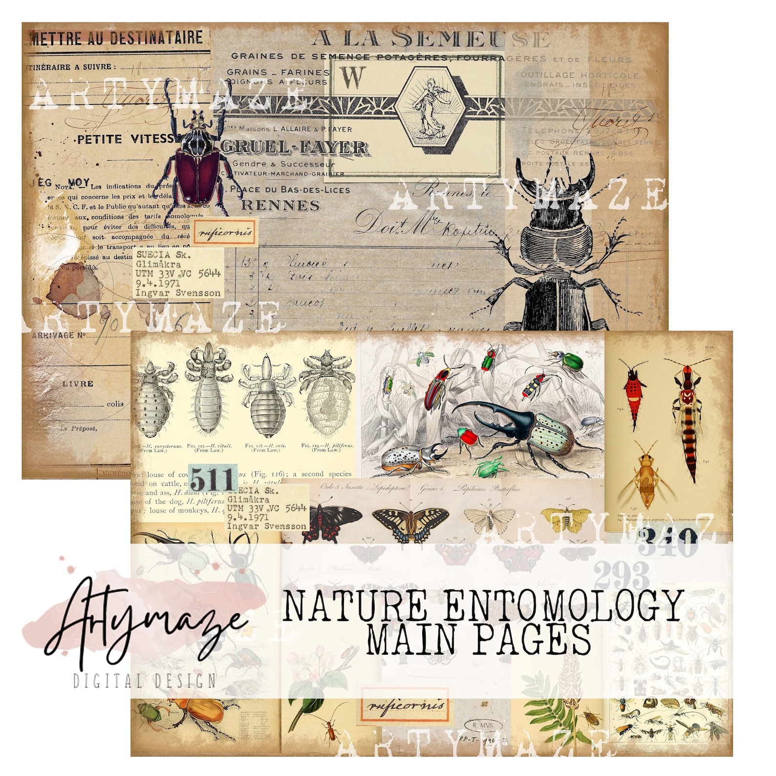 NATURE &amp; ENTOMOLOGY Printable Journal Pages PLUS Bonus - Etsy UK