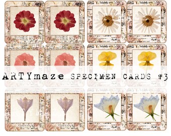 FAUX Pressed flower SPECIMEN CARDS #3