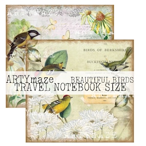 Stampabile " BEAUTIFUL BIRDS Pagine di quaderno da viaggio ideali per un INSERTO. Dimensione pagina stampata 8.250" X 8.666"