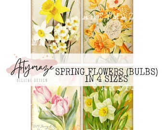 SPRING BULB IMAGES in 4 sizes, journal cards, ephemera, vintage, junk journal, digital download, Artymaze, scrapbook