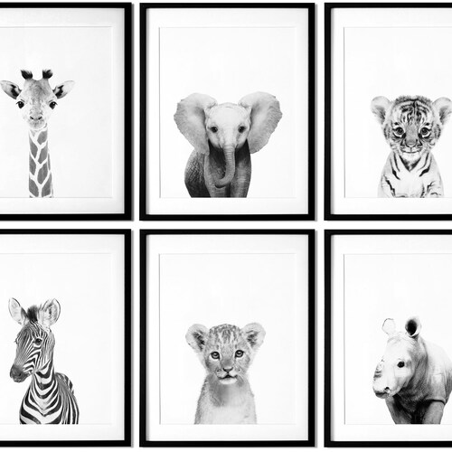 Black and White Animal Prints Safari Animals Nursery Prints Etsy