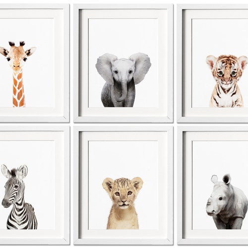Jungle Animal Prints Safari Nursery Print Set of Baby Etsy