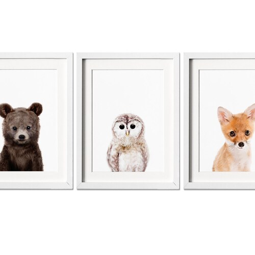 Woodland Nursery Prints Animal Tracks Wildlife Prints Boy Etsy