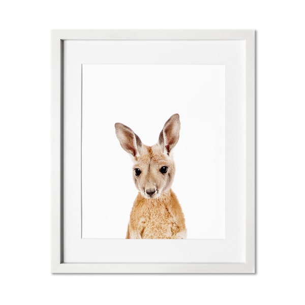 Kangaroo Nursery Etsy