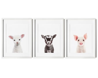 Set of 3 Farm Animal Nursery Prints - Farm Art Prints - Baby Farm Animal Print -  Farm Nursery Art -  Neutral Nursery Animal Prints