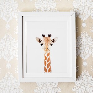 Safari baby animal art prints for nursery