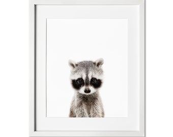 Raccoon Print, Woodland Nursery Print, Nursery Decor, Baby animal prints for nursery, Baby Shower Gift