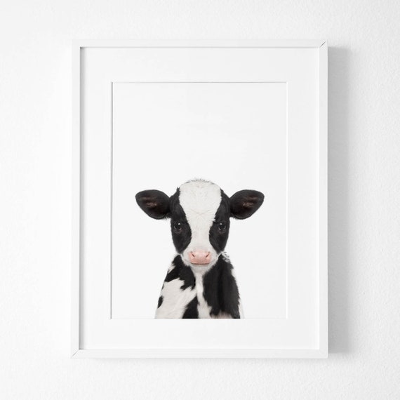 baby cow nursery decor