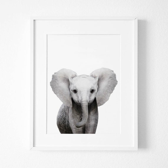 baby elephant prints for nursery