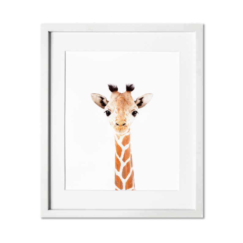 Giraffe Print, Baby Giraffe Print,  Safari Nursery Wall Art, Nursery Decor, Modern Nursery, Baby Shower Gift 