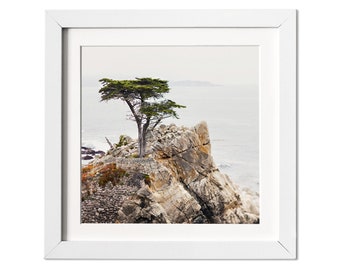 Lone Cypress Tree, California Coast, Big Sur, Photography Print, Pacific Coast Highway 1, Ocean, Beach Decor, Fine Art Print, Wall Art
