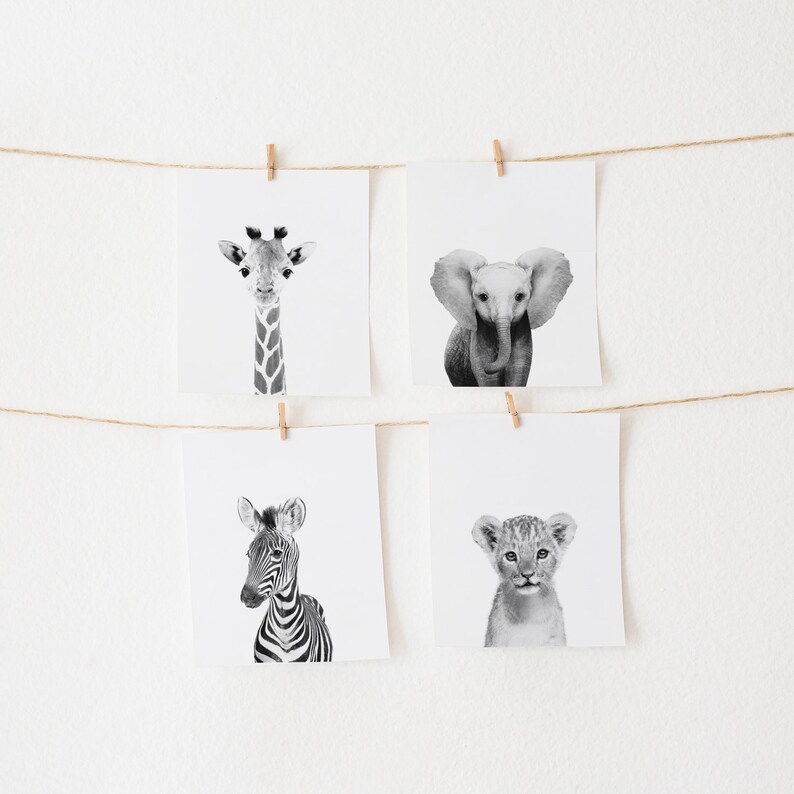 Safari Nursery Prints Set of 4 Prints Black and White Etsy