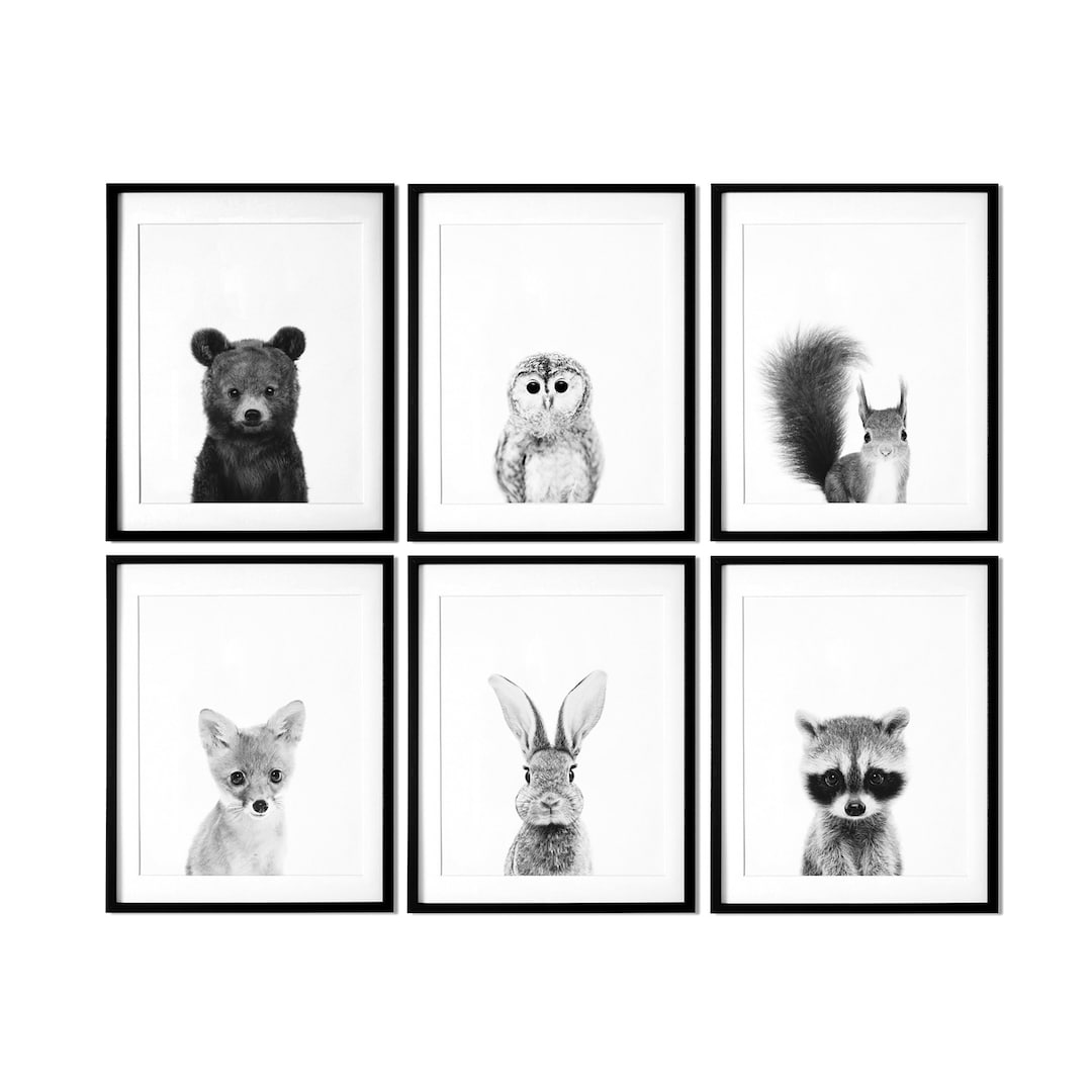 Set of 6 Black and White Animal Prints Black and White Etsy