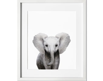 Elephant Print,  Baby Elephant Nursery Print, Safari Nursery Wall Art, Nursery Decor, Baby Shower Gift