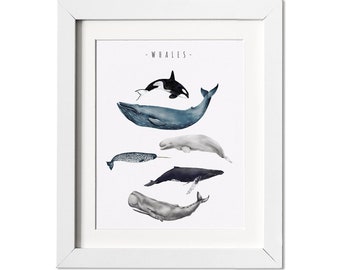 Whale Watercolor Painting, Watercolor Painting, Whale Painting, Orca Whale, Killer Whale, Whale Nursery, Whale Print, Boys Room Wall Art