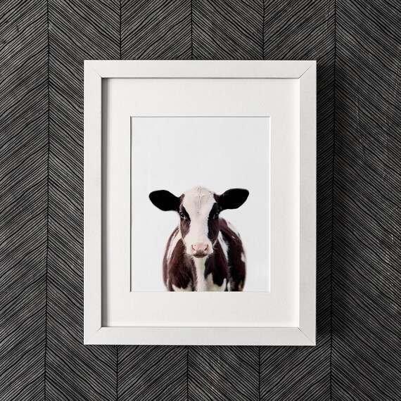 Calf Print Farm Animal Wall Artbaby Cow Nursery Decor Etsy
