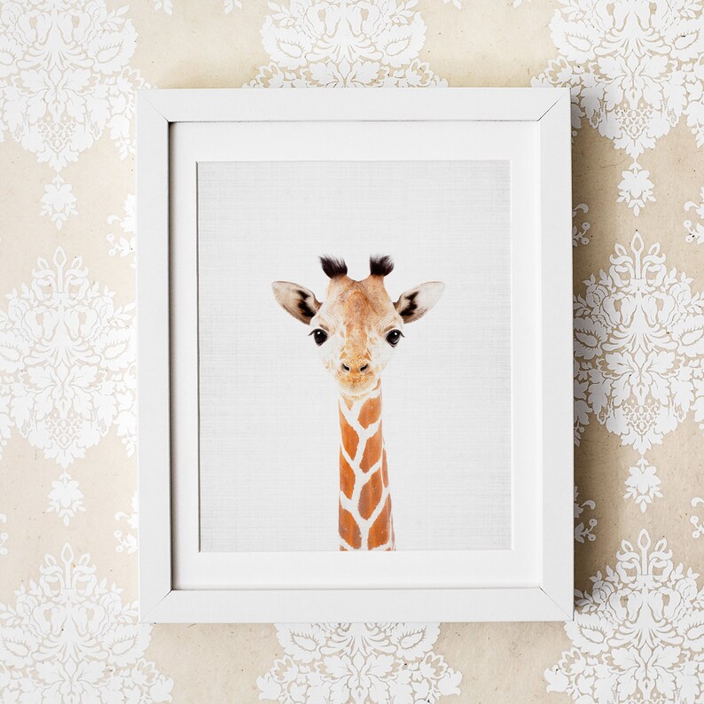 Safari Nursery Prints Set of 6 Prints Nursery Decor Nursery Etsy