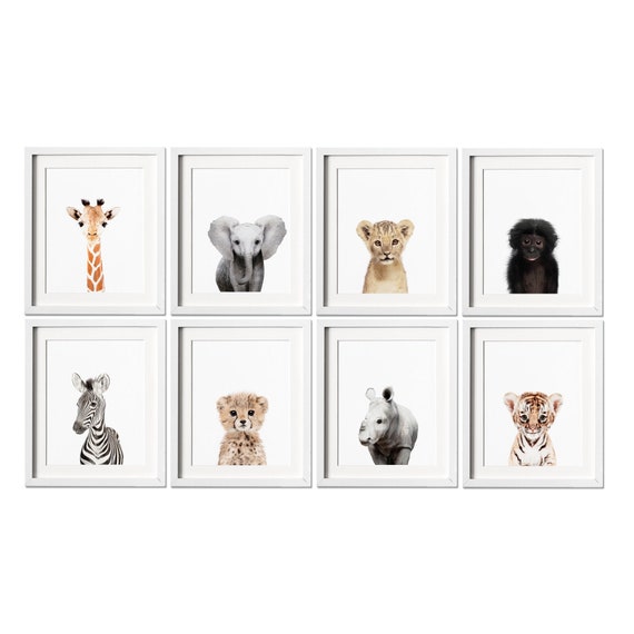 Safari Nursery Prints Set Of 8 Decor - Animal Wall Decor For Nursery Safari Nursery Prints Set Of 8 Decor - Animal Wall Decor For Nursery
