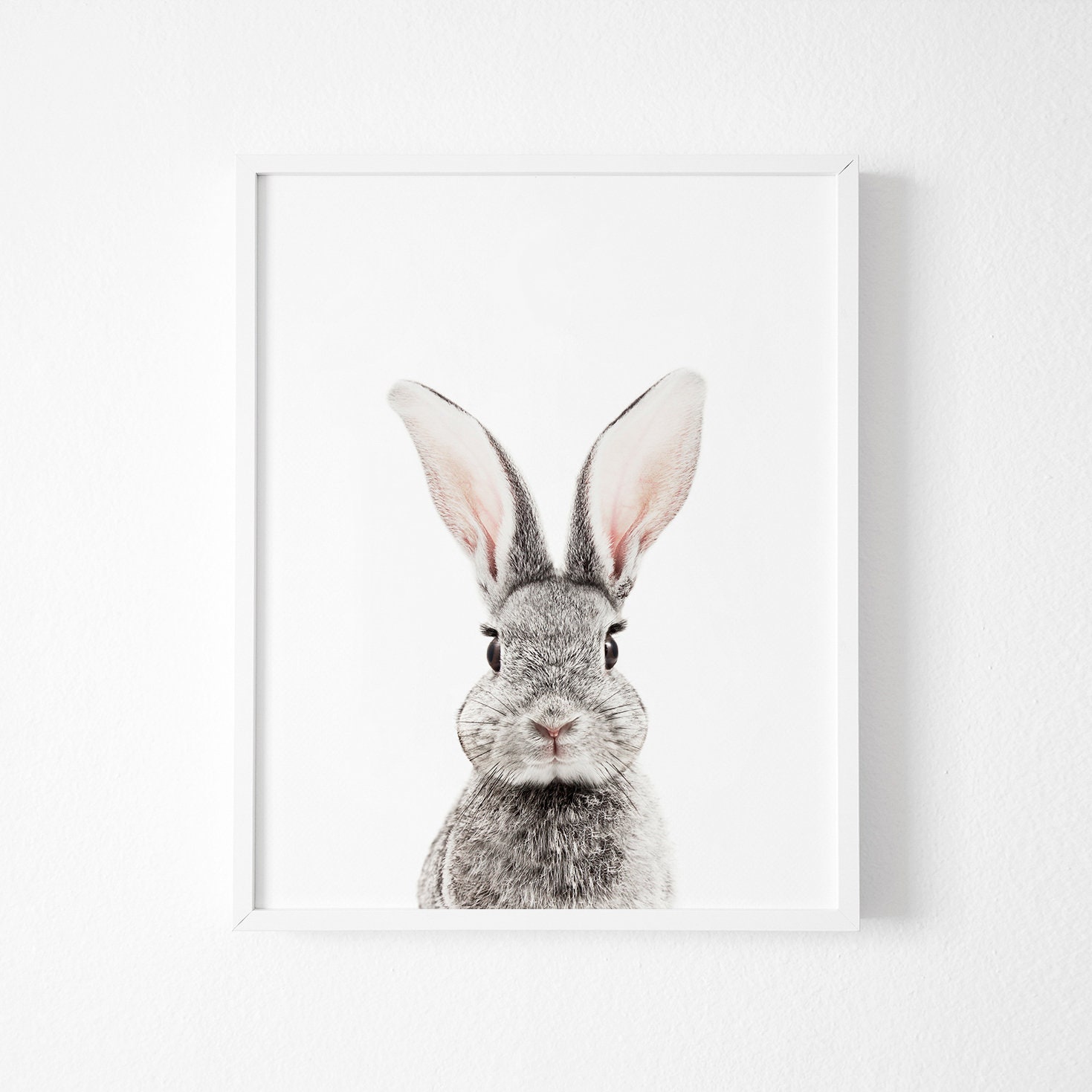 Nursery Decor Nursery Wall Art Bunny Print Animal Nursery Etsy