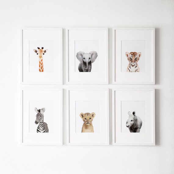 Grabados de vivero Safari, Conjunto de 6 impresiones, decoración de vivero, arte de la pared del vivero, grabados de animales del bebé para la guardería