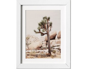 Joshua Tree Print, Joshua Tree Photography, Nature Photography,  California Fine Art, Boho Home Decor