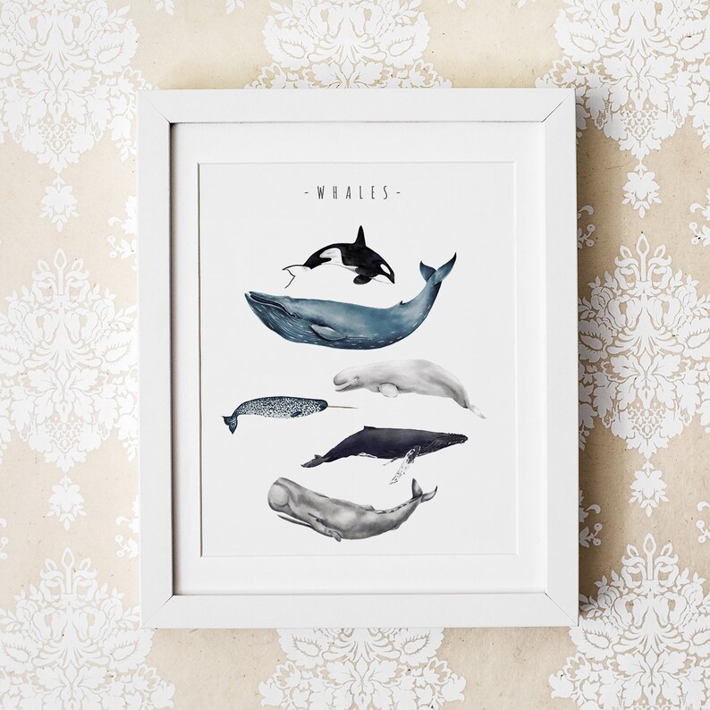 Whale Watercolor Painting Watercolor Painting Whale Etsy