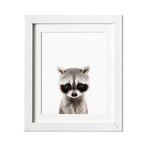 raccoon nursery decor