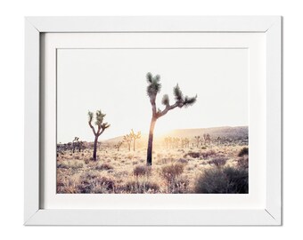 Joshua Tree Print, Joshua Tree Photography, Nature Photography, Sunrise Photography,  California Art, California Wall Art