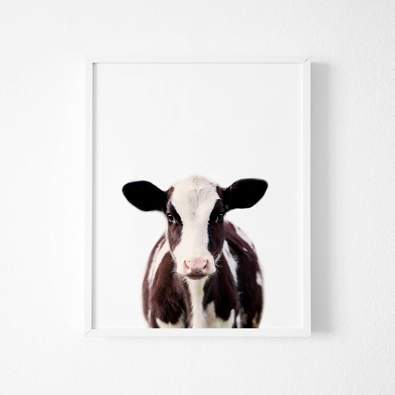 Calf Print Farm Animal Wall Artbaby Cow Nursery Decor Etsy