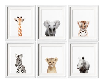 Safari Nursery Prints -  Set of 6 -  Safari Nursery Decor