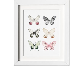 Butterfly Print, Papillon Butterfly Print, Nature Print, Home Decor, Fine Art Print, Giclee Print, Nursery Wall Art,  Girls Room wall art