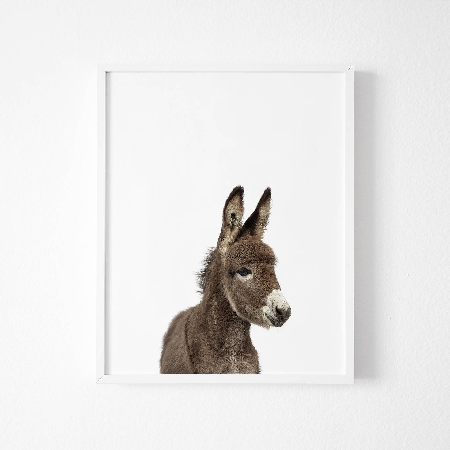 Donkey Print Nursery Animal Wall Art Donkey Foal Animal Etsy