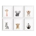 Safari nursery prints, Set of 6 Prints, Nursery decor, Nursery wall art, Baby Animal prints for nursery 