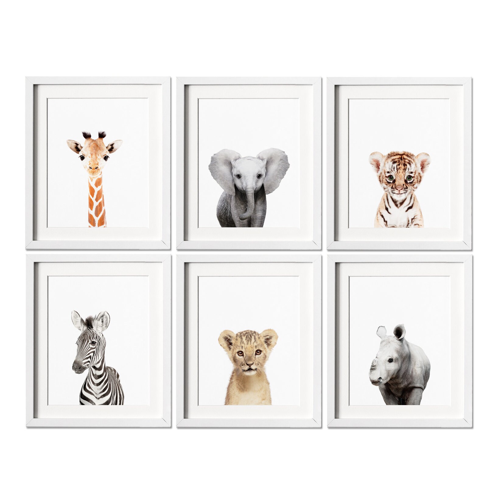 Safari Nursery Prints Set of 6 Prints Nursery Decor Nursery Etsy UK