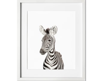 Baby Zebra Print, Zebra Nursery Wall Art, Safari Nursery Print, Nursery Decor, Modern Nursery, Baby Shower Gift