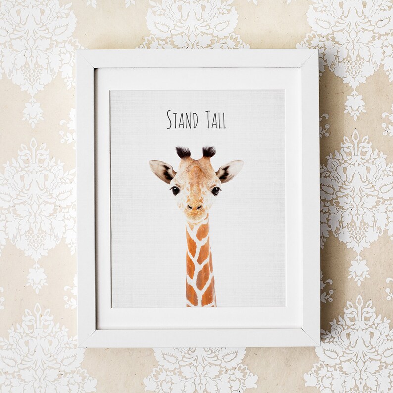 Safari Nursery Prints Set of 3 Prints Nursery Decor Nursery Etsy
