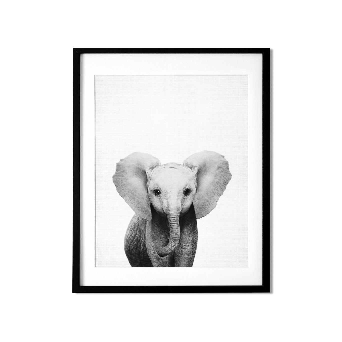 Black and White Safari Nursery Prints Set of 6 Prints Etsy UK