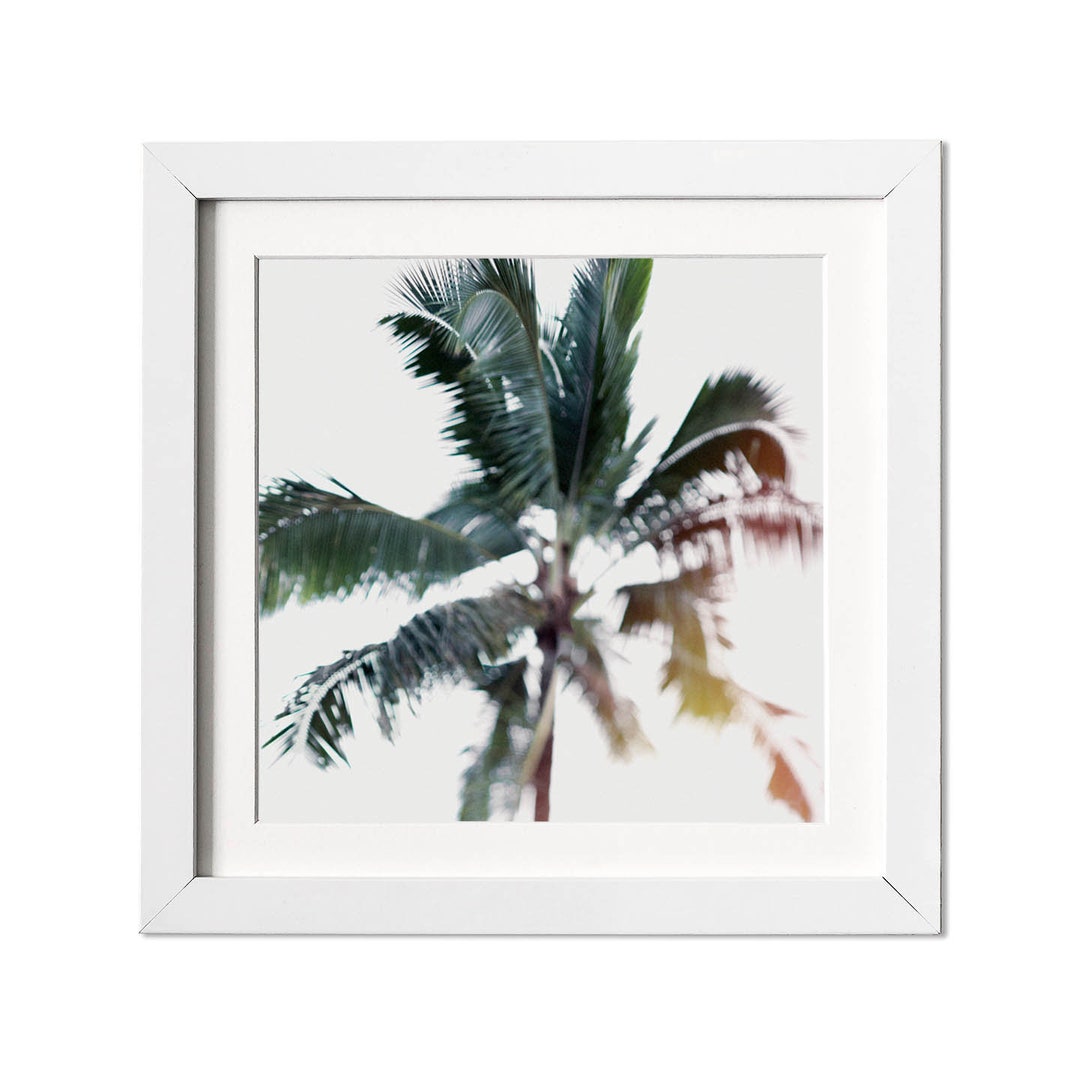 Palm Tree Print Tropical Beach Wall Art Palm Tree Fine Art - Etsy